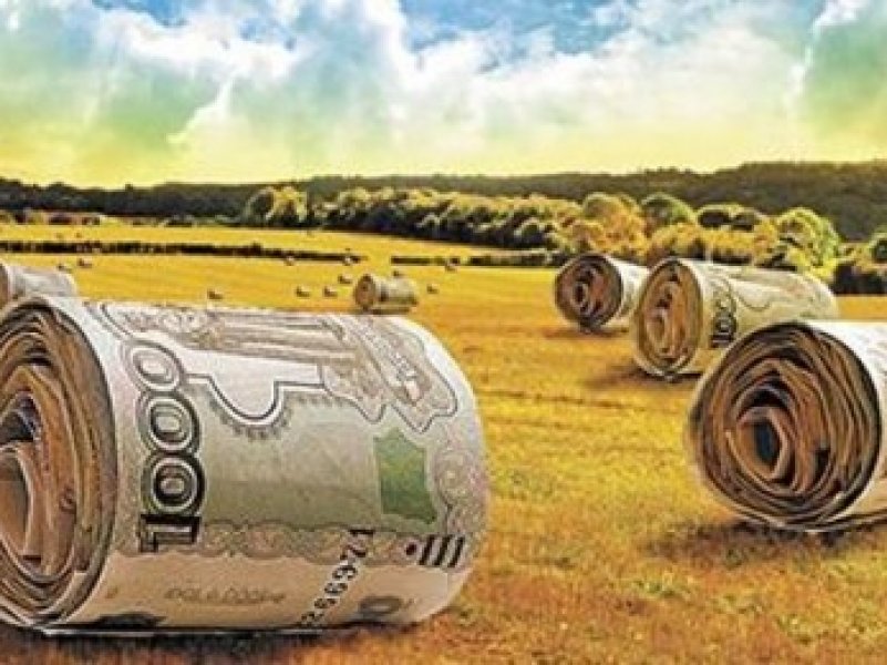 Сельхозтоваропроизводители  получат отсрочку по платежам по льготным кредитам на год