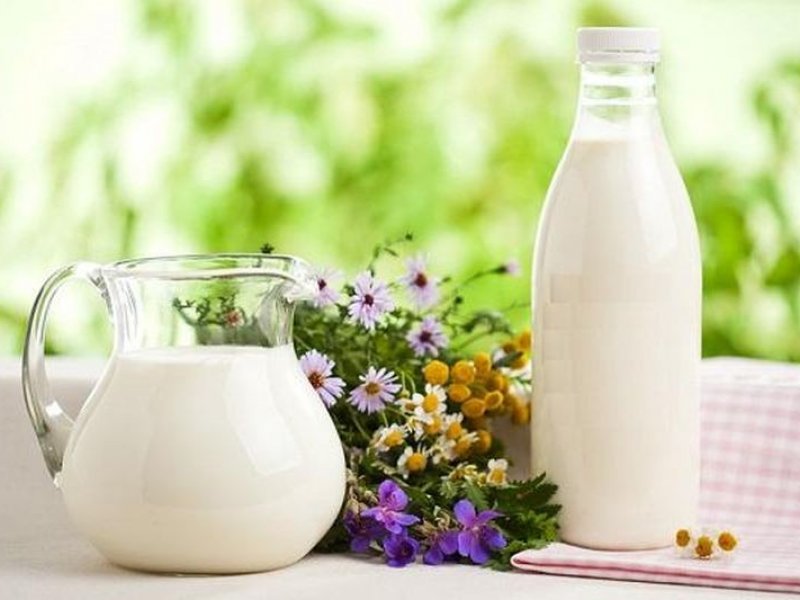 Краснодарский край увеличил производство молока до 1,058 миллиона тонн