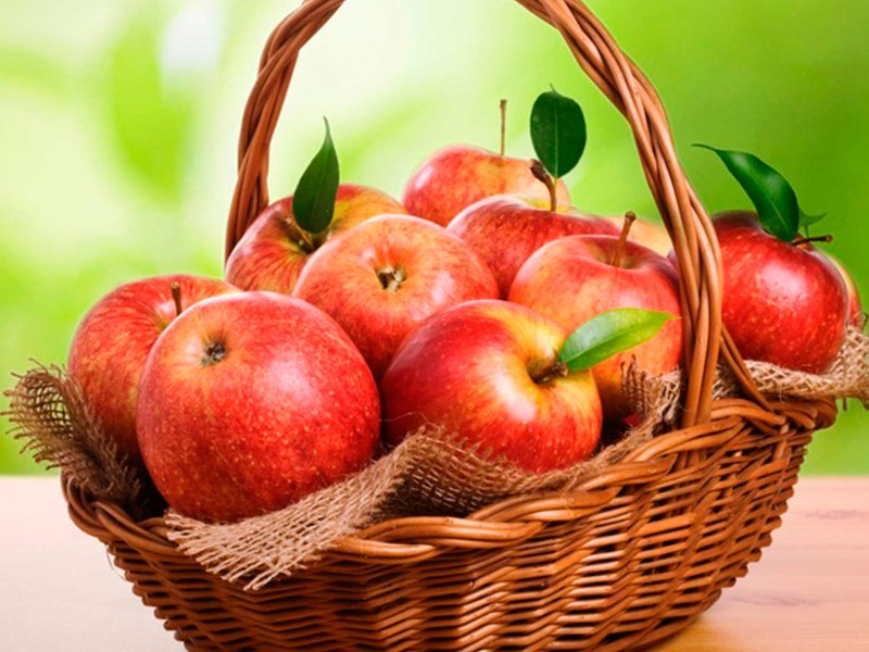 На Кубани зарегистрируют географическое наименование «Кубанские яблоки»