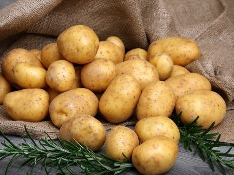В России предлагают продавать картофель «эконом класса»  
