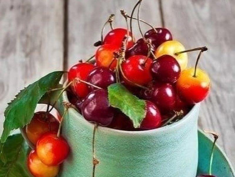   Названы полезные свойства вишни и черешни