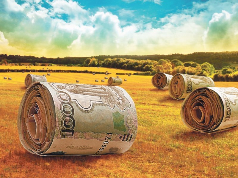 Доступные льготные кредиты могут получить и начинающие сельхозпроизводители