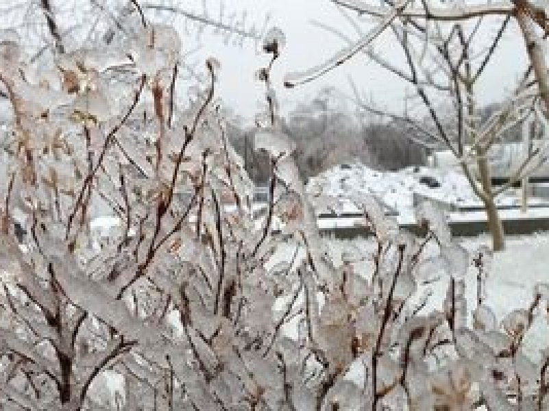 На Кубани сегодня прогнозируется снег и гололед, возможен ледяной дождь