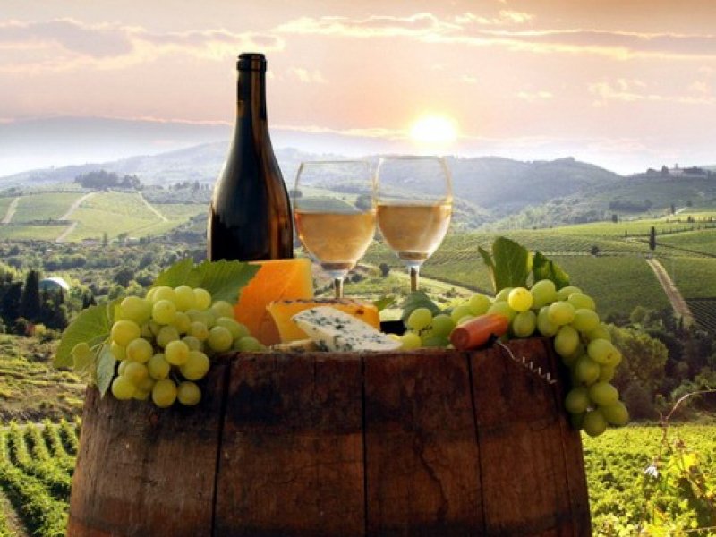 На Кубани создали новую географическую зону для производства вина  