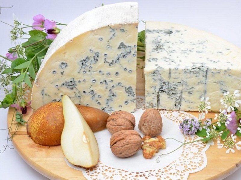   На Кубани  построят завод по производству сыров с белой и голубой плесенью