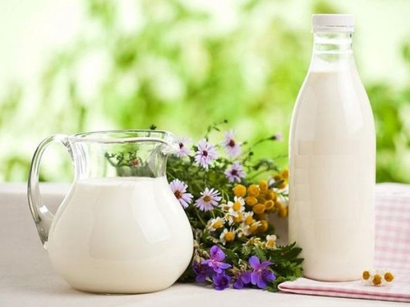 Диетологи рекомендуют пить молоко по утрам