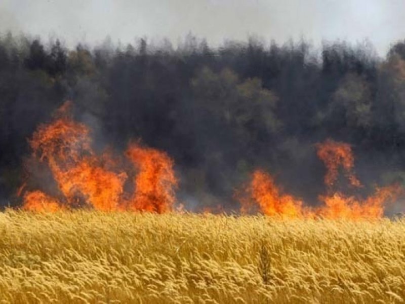  В Краснодарском крае сохраняется высокая и чрезвычайная пожарная опасность  