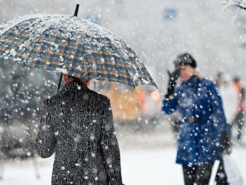 МЧС предупреждает о сильном налипании мокрого снега