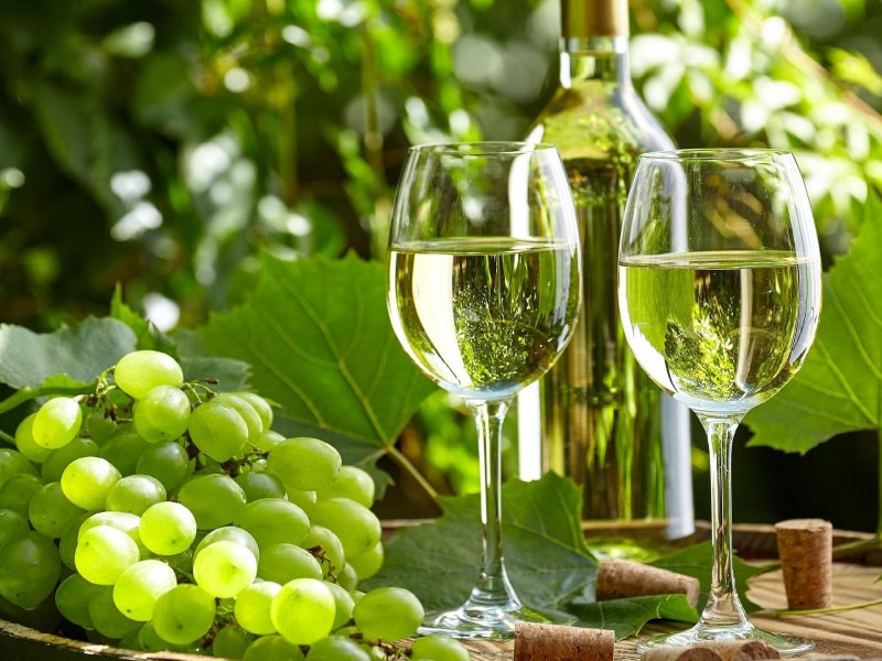  Как правильно выбрать белое вино
