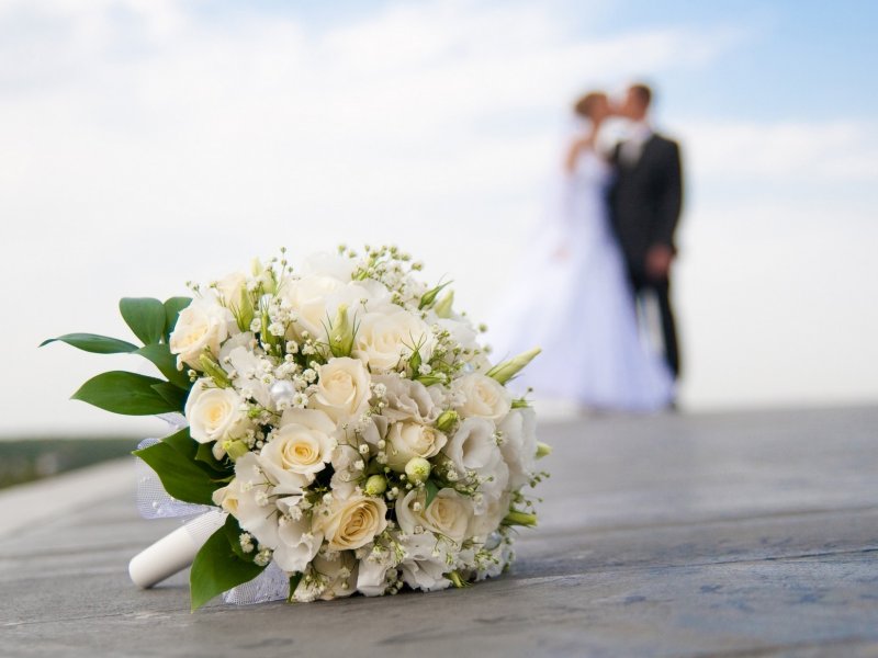  Краснодарский край вошел в число лидеров по количеству свадеб в 2021 году
