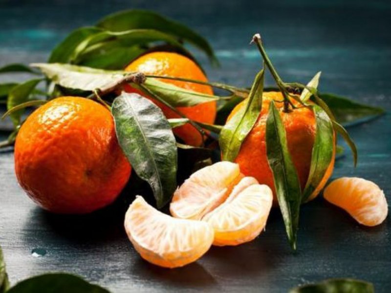  Как выбрать самые сладкие и экологичные сорта мандаринов