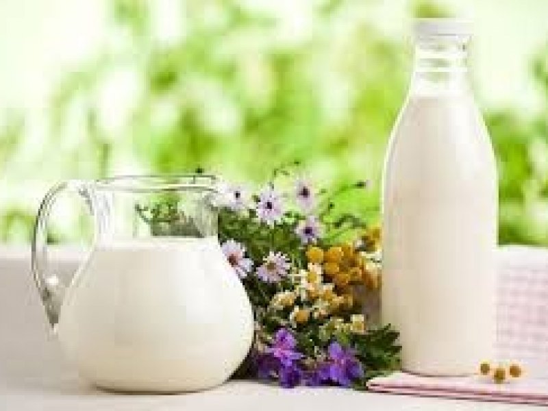 В России цена на молоко снизится на 20-25%