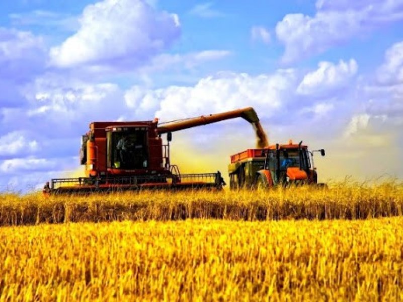   Кубань первой в России завершила уборку зерновых