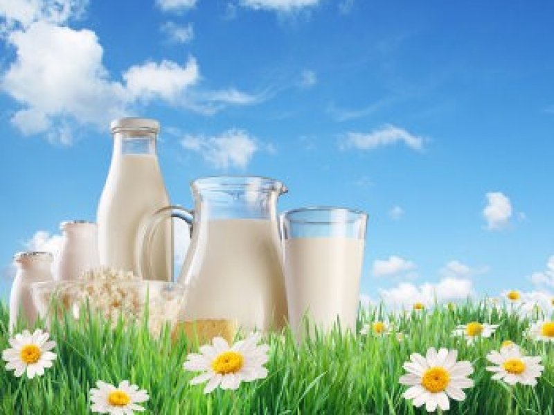 Кубань на 40% превысила план по экспорту молочной продукции 