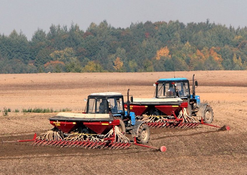  В следующем году на Кубани будет рекордный урожай озимых 