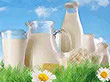 Краснодарский край планирует к 2030 году увеличить производство молока в пять раз
