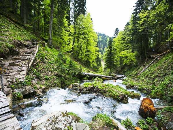 Парк Водопадов Менделиха на Роза Хутор