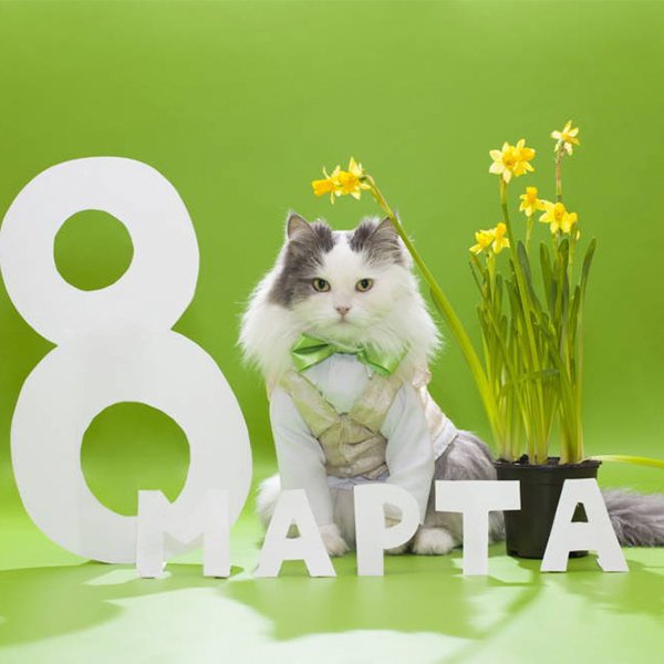 Поздравления с 8 Марта