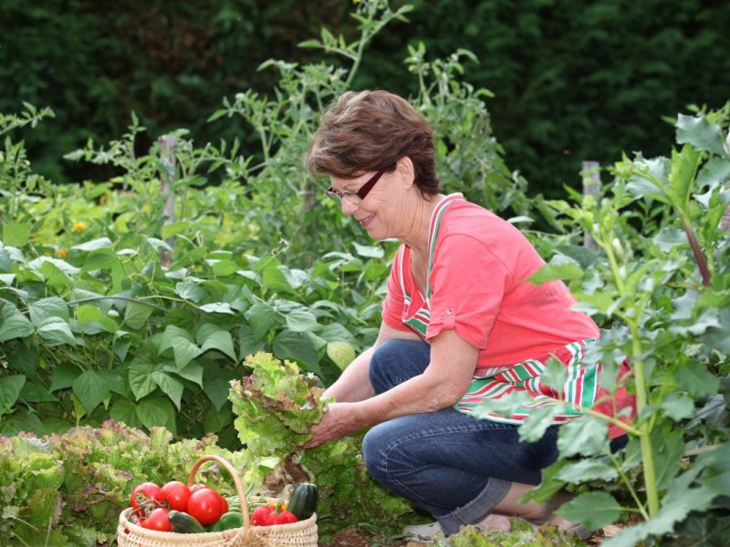 Врачи советуют, как работать в огороде без вреда для здоровья