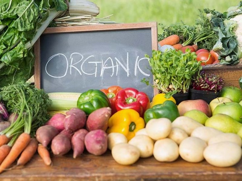  Кубань планирует развивать органическое сельское хозяйство