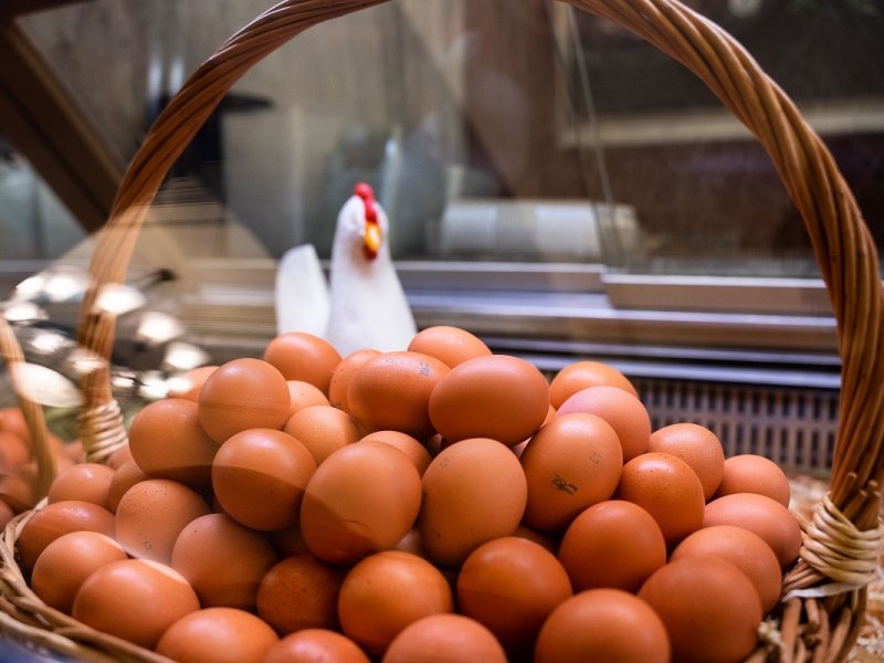 В России рекордно выросли цены на яйца