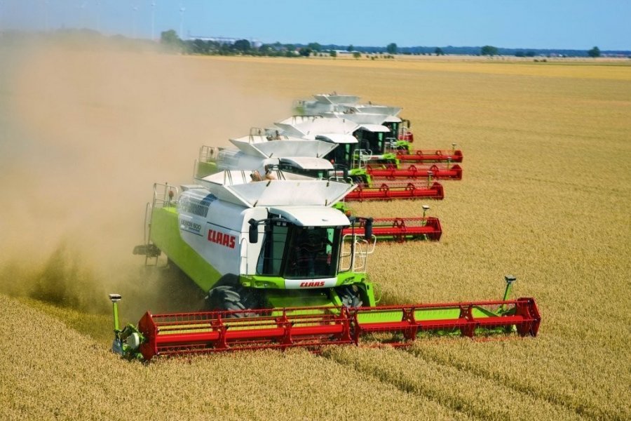 На Кубани планируют собрать около 11 миллионов тонн зерна 
