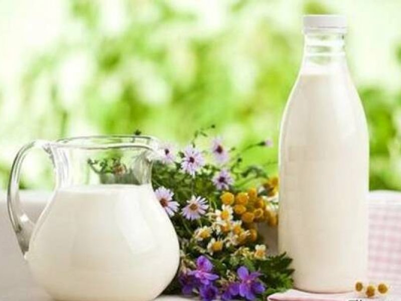   Почему полезно молоко  
