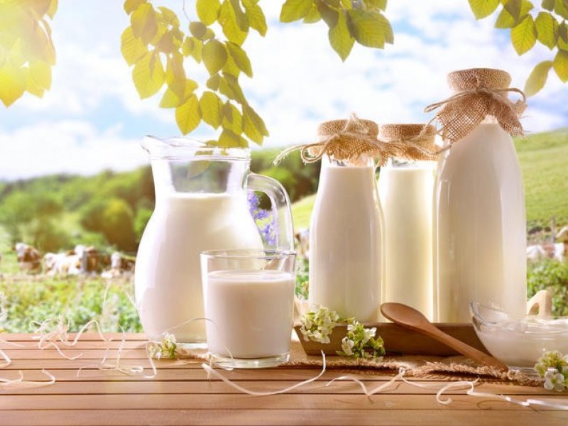 В Краснодарском крае на производство молока из краевого бюджета направят более 1 млрд рублей 