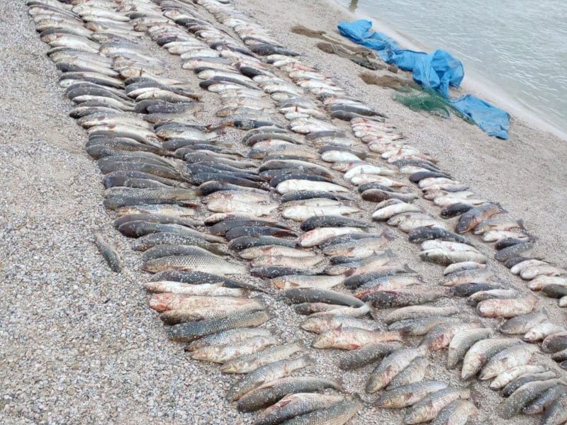 Пограничники пресекли более 1000 нарушений в сфере рыболовства в 2019 году