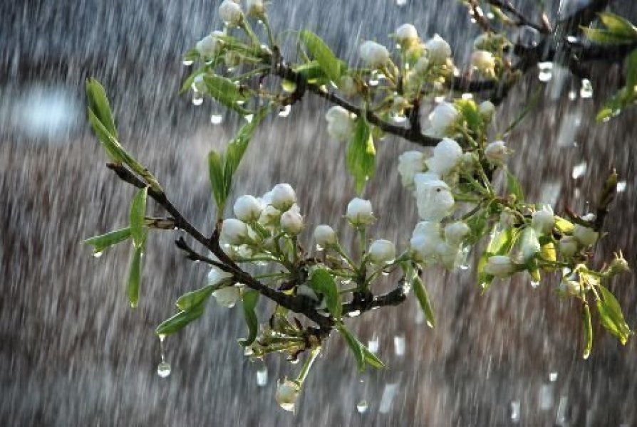В Краснодарском крае в выходные пройдут сильные дожди