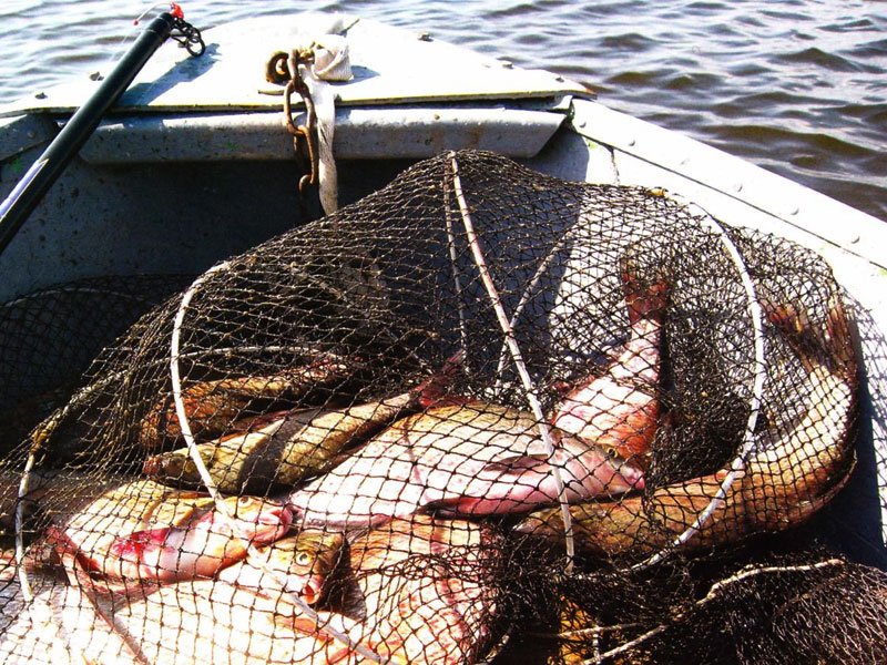 Средства - запрещенные для рыболовства