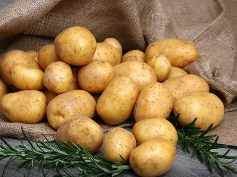 В России спрогнозировали подорожание картофеля