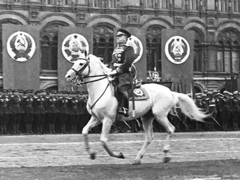 Почему на Параде Победы на коне выехал не Сталин, а Жуков