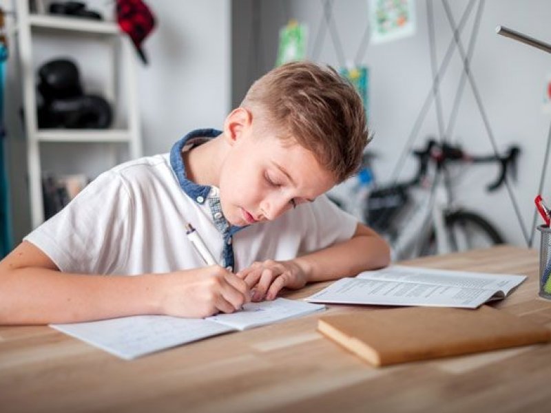  В России предлагают отменить домашнее задание для школьников  