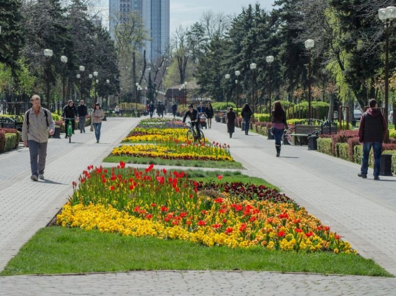 Краснодар вошел в ТОП-3 самых привлекательных городов для открытия собственного бизнеса 