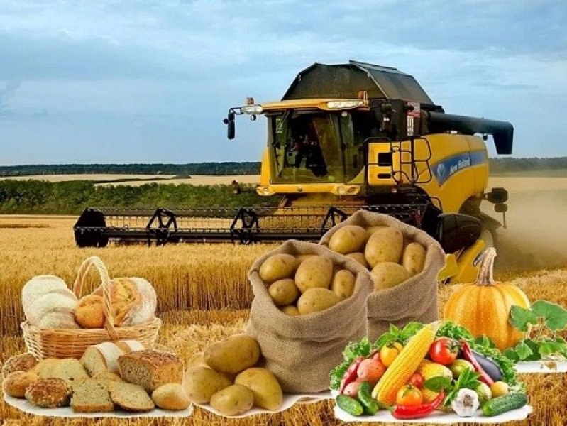  В России  сельхозэкспорт в 2022 году достиг $41,5 млрд  