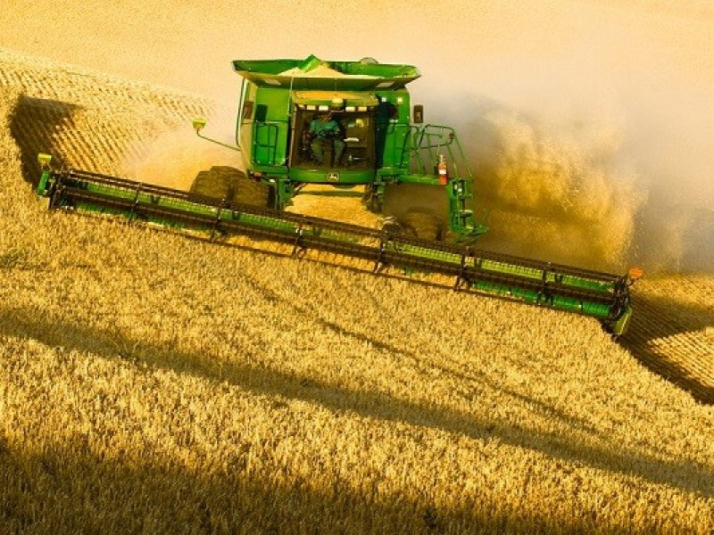 Россия собрала рекордный по объему урожай пшеницы в истории