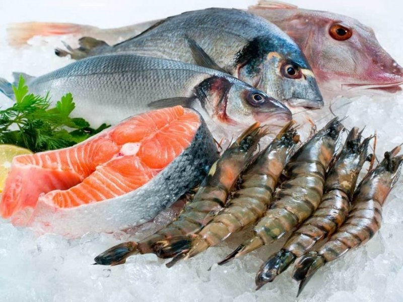   В России ввели запрет на ввоз рыбы и морепродуктов из недружественных стран