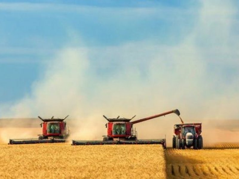В России сбор зерна в 2021 году составил 120,7 млн тонн