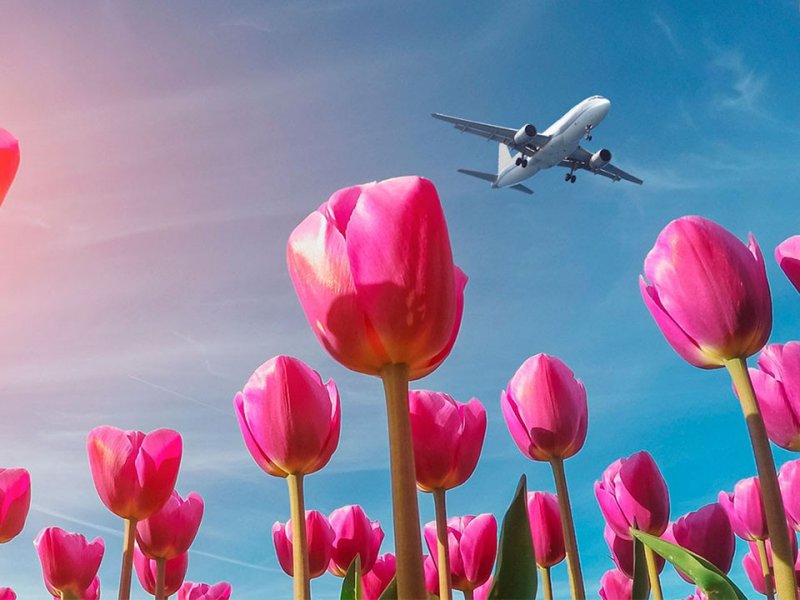 Краснодар вошел в топ-10  самых популярных авианаправлений для россиян на майские праздники
