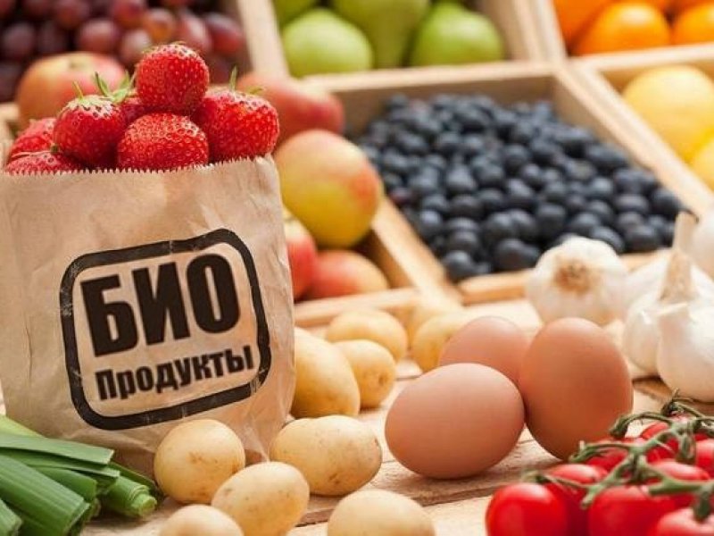 В России запретили называть «зелеными» товары без экосертификатов