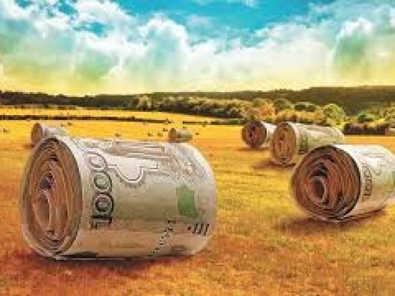  Финансирование АПК Кубани в новом году составит 9,6 млрд рублей 