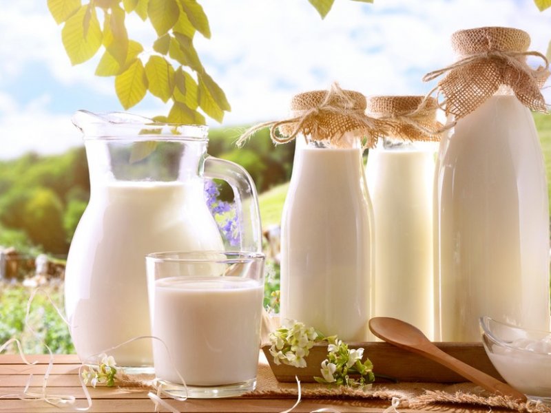 Краснодарский край перевыполнил планы по экспорту молока и мяса в два раза