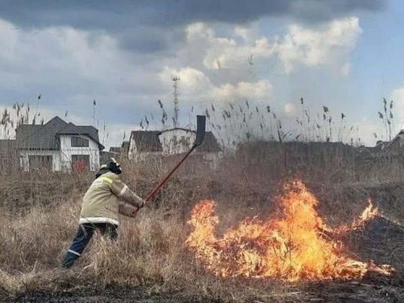 В Тимашевске потушили природный пожар на пляже   