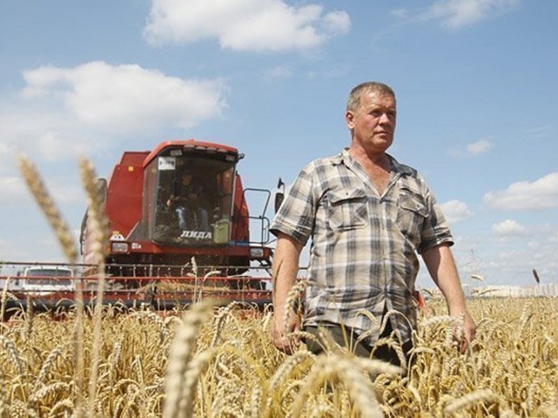 Президент России поручил помочь семьям мобилизованных работников сельского хозяйства (видео) 