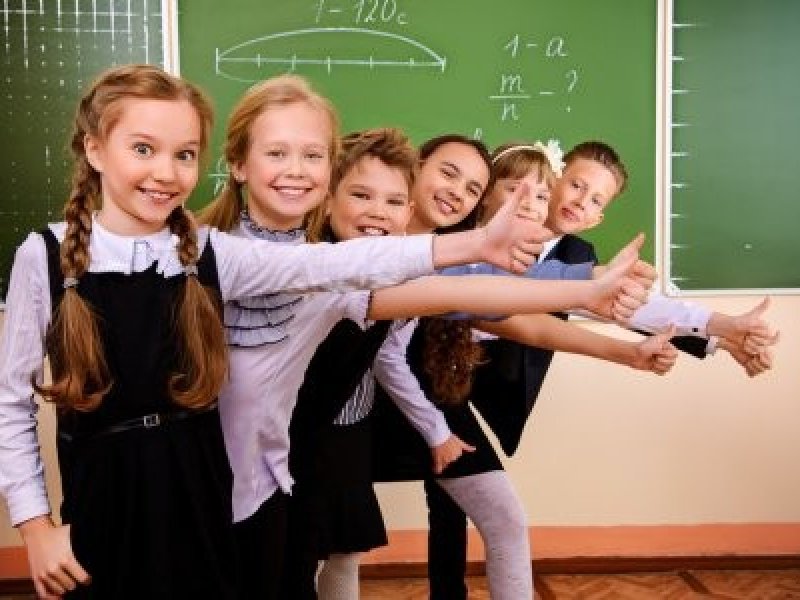 В России не планируют заменять школьное образование дистанционной формой