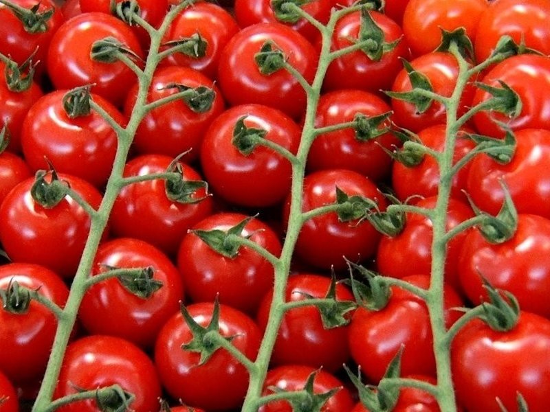 В России за неделю подорожали помидоры более чем на 10%  