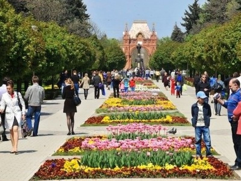   Краснодар и Сочи названы наиболее привлекательными городами для переезда 