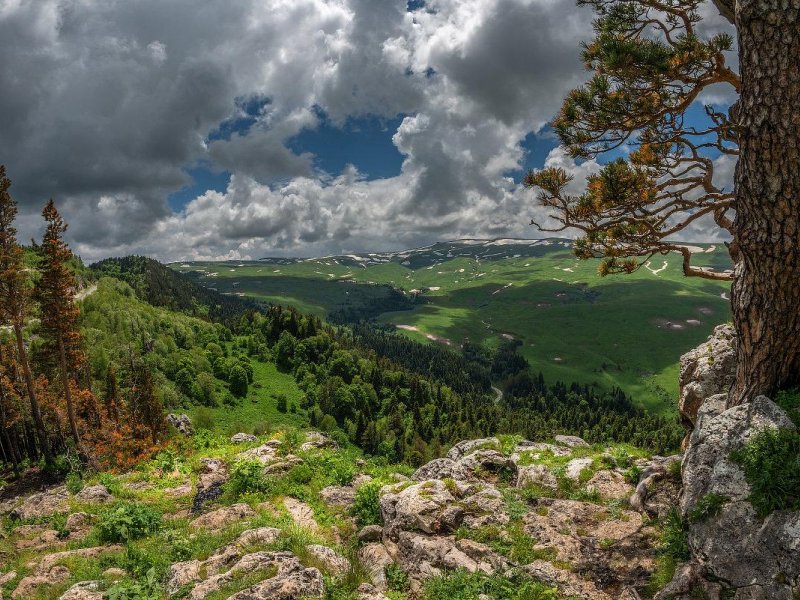 Куда поехать жителям Тимашевска