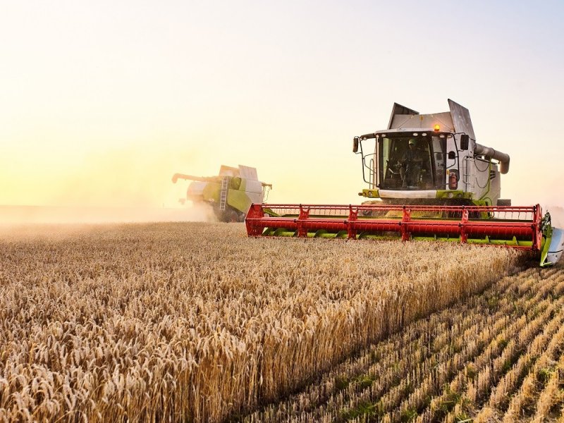 В Краснодарском крае  планируют выдавать кредиты фермерам под залог урожая  